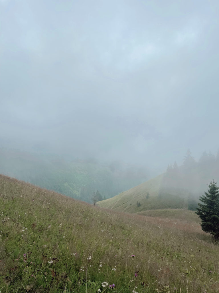 Nebel Blumenwiese Tiroler Berge
