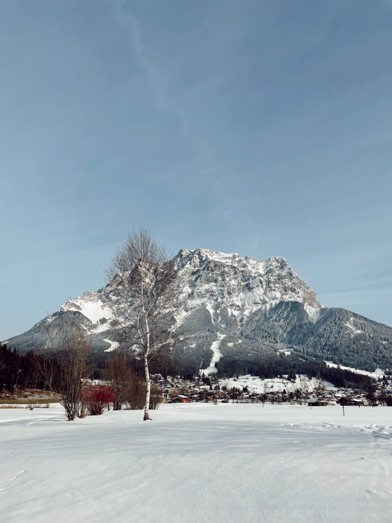 Zugspitze Baum und Schneelandschat