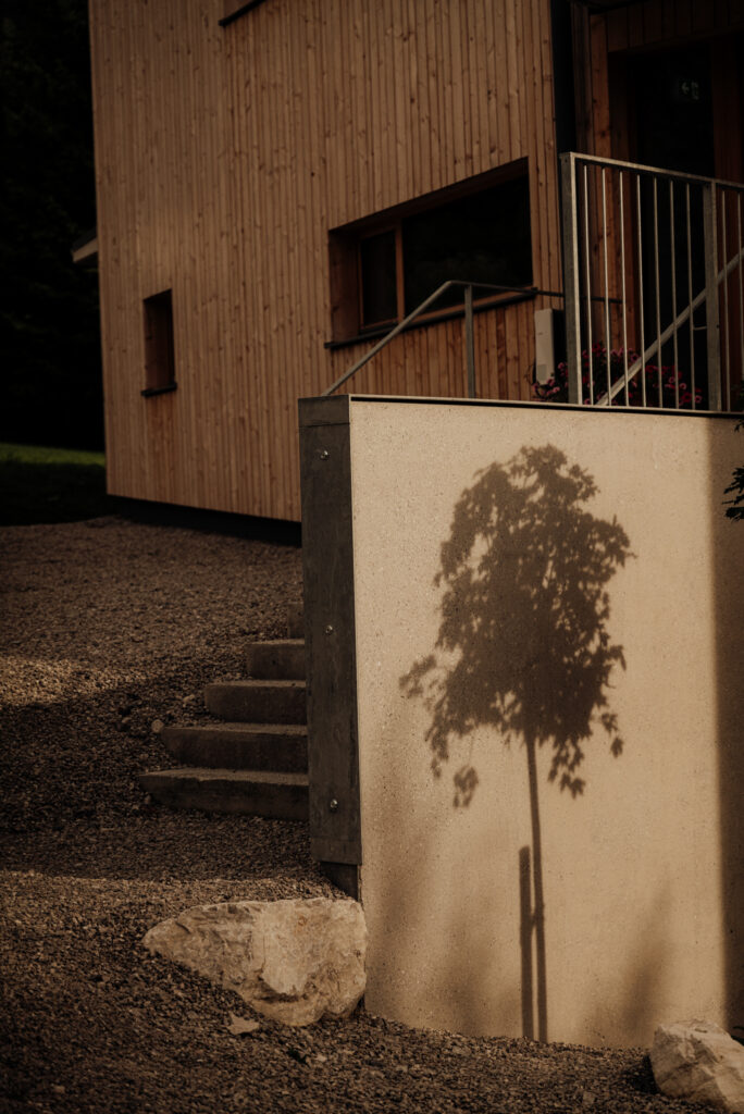 Kugelahorn Baum reflektiert in Betonmauer